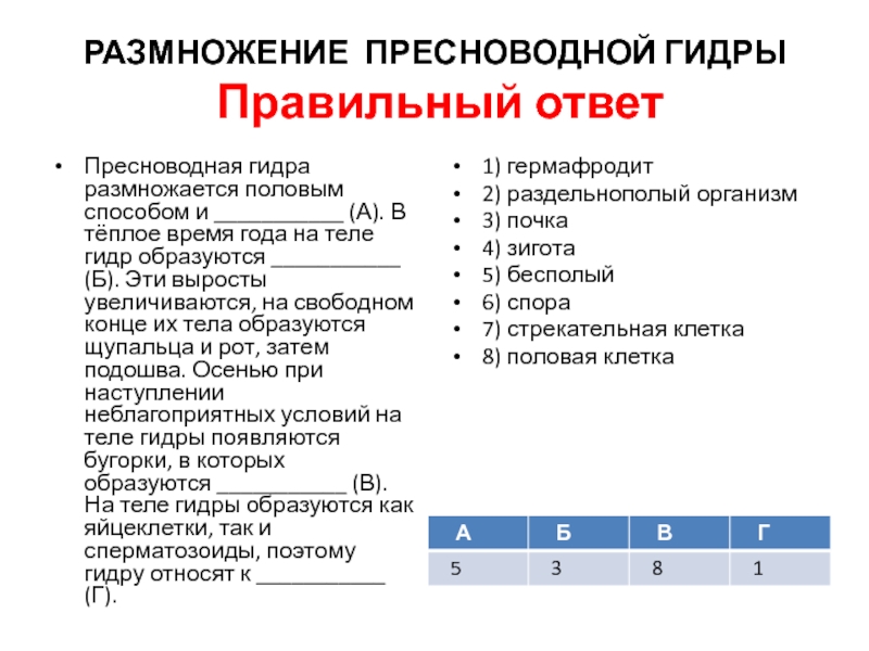 Кракен маркетплейс реклама текст