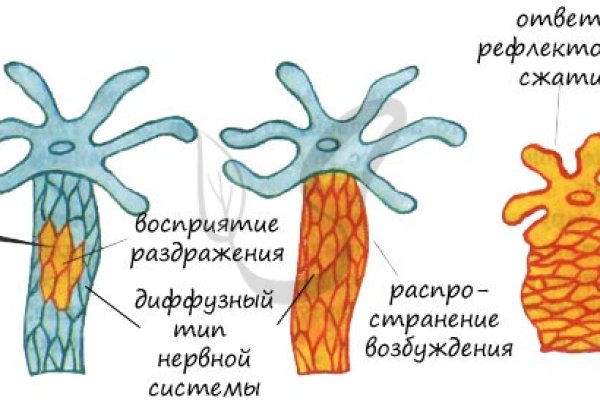 Список даркнет сайтов