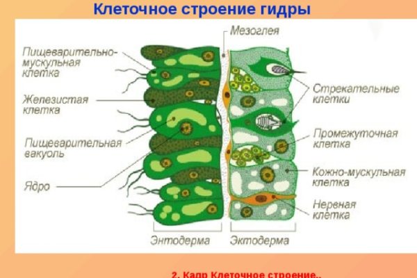 Kraken ссылка на сайт тор